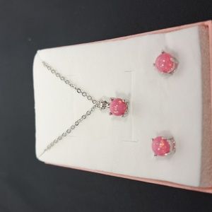Pink Cubic Zirconia Pendant and earrings on a 18-20" adjustable Stainless chain